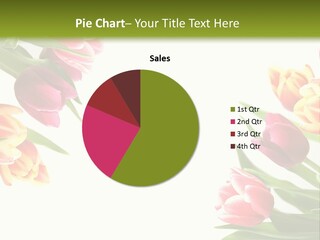 Colorful Floral Flowers PowerPoint Template