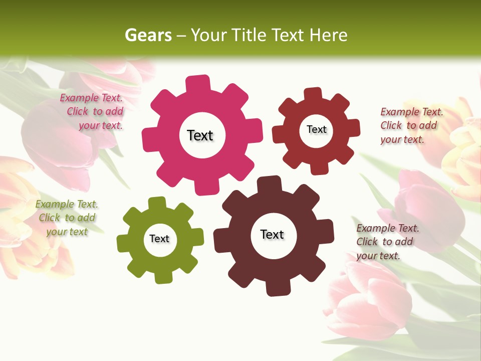 Colorful Floral Flowers PowerPoint Template
