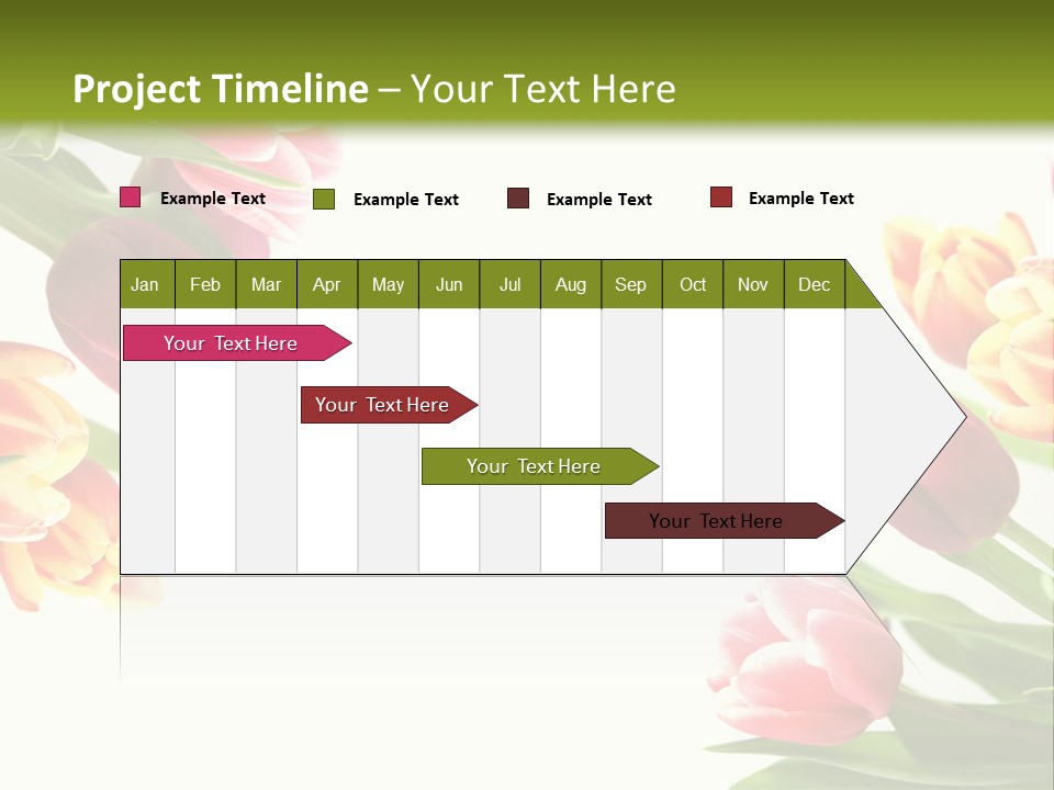 Colorful Floral Flowers PowerPoint Template