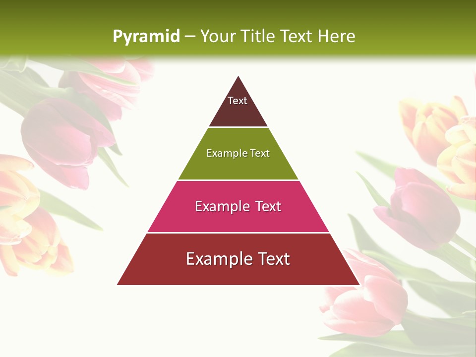 Colorful Floral Flowers PowerPoint Template