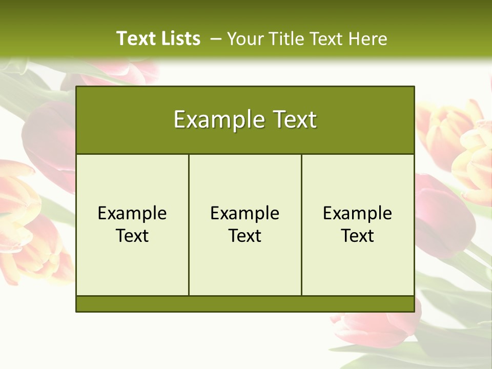 Colorful Floral Flowers PowerPoint Template