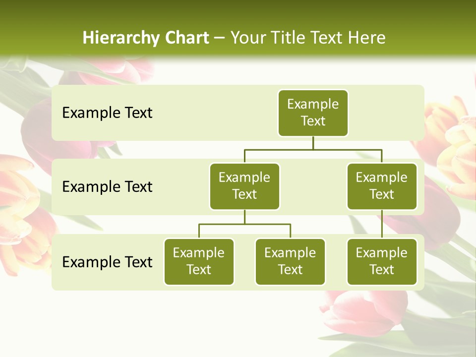 Colorful Floral Flowers PowerPoint Template