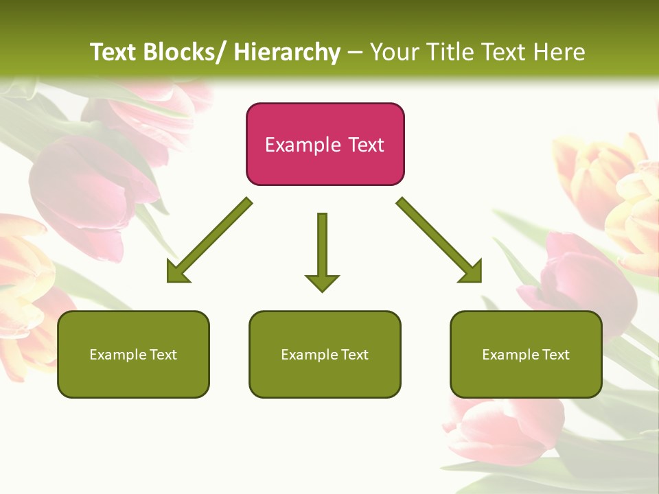 Colorful Floral Flowers PowerPoint Template