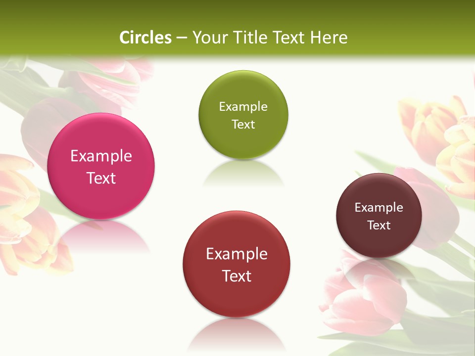 Colorful Floral Flowers PowerPoint Template