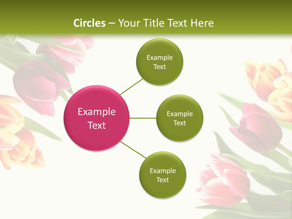 Colorful Floral Flowers PowerPoint Template