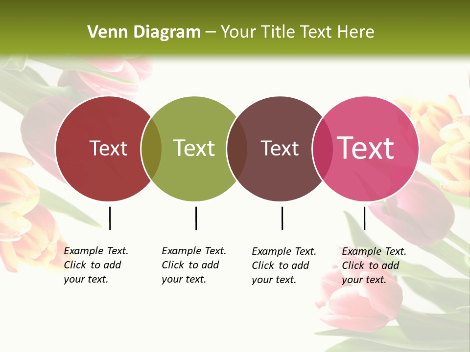 Colorful Floral Flowers PowerPoint Template