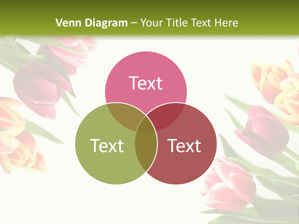 Colorful Floral Flowers PowerPoint Template