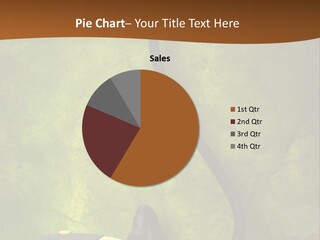 Clean Buy New PowerPoint Template