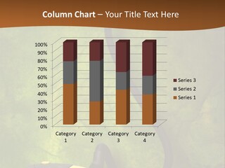 Clean Buy New PowerPoint Template