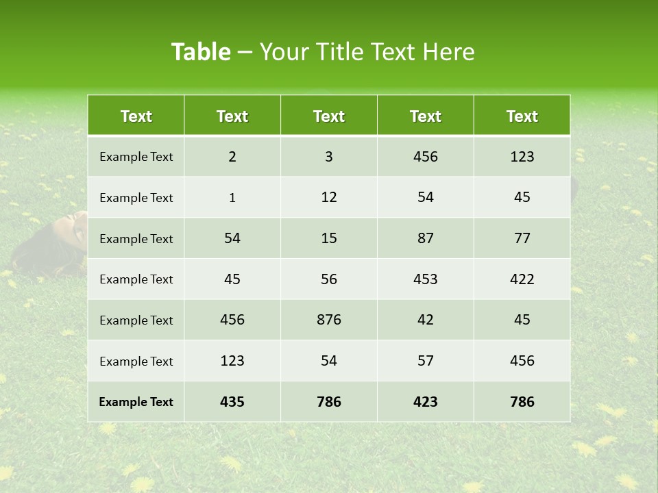 Cloth Sweet Attractive PowerPoint Template