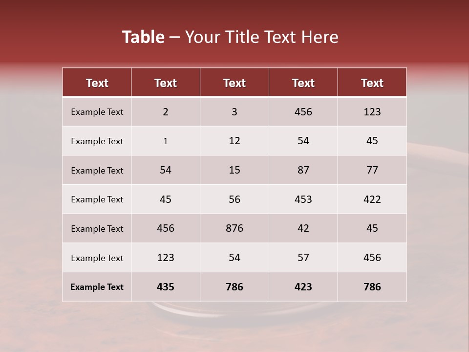 Courtroom Hammer Opinion PowerPoint Template