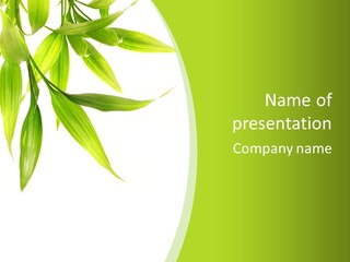 Harmony Freshness Foliage PowerPoint Template