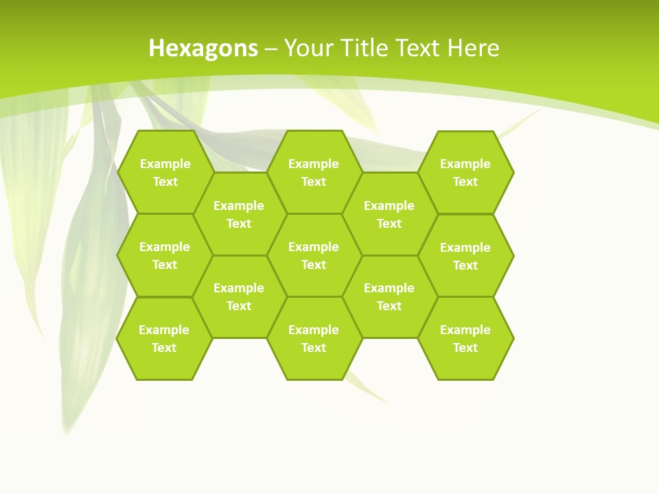 Harmony Freshness Foliage PowerPoint Template