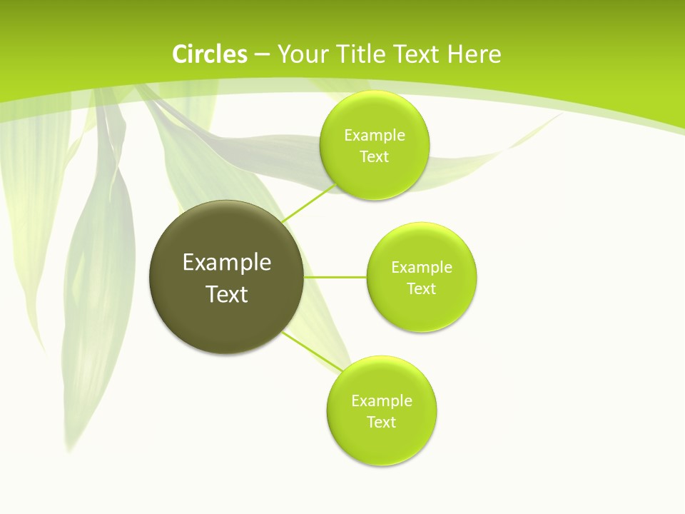 Harmony Freshness Foliage PowerPoint Template