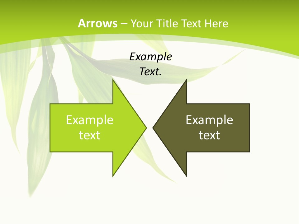 Harmony Freshness Foliage PowerPoint Template