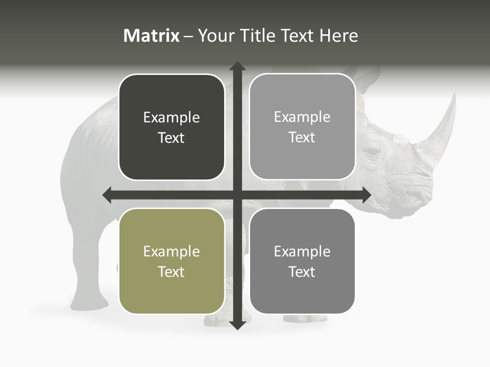 Rhinoceros Animal Danger PowerPoint Template