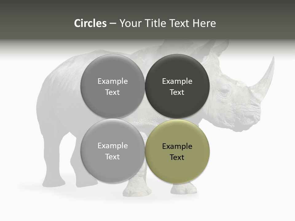 Rhinoceros Animal Danger PowerPoint Template