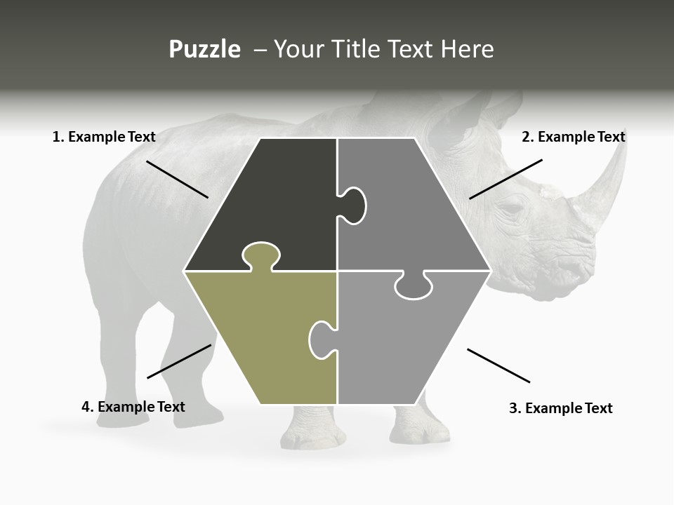 Rhinoceros Animal Danger PowerPoint Template