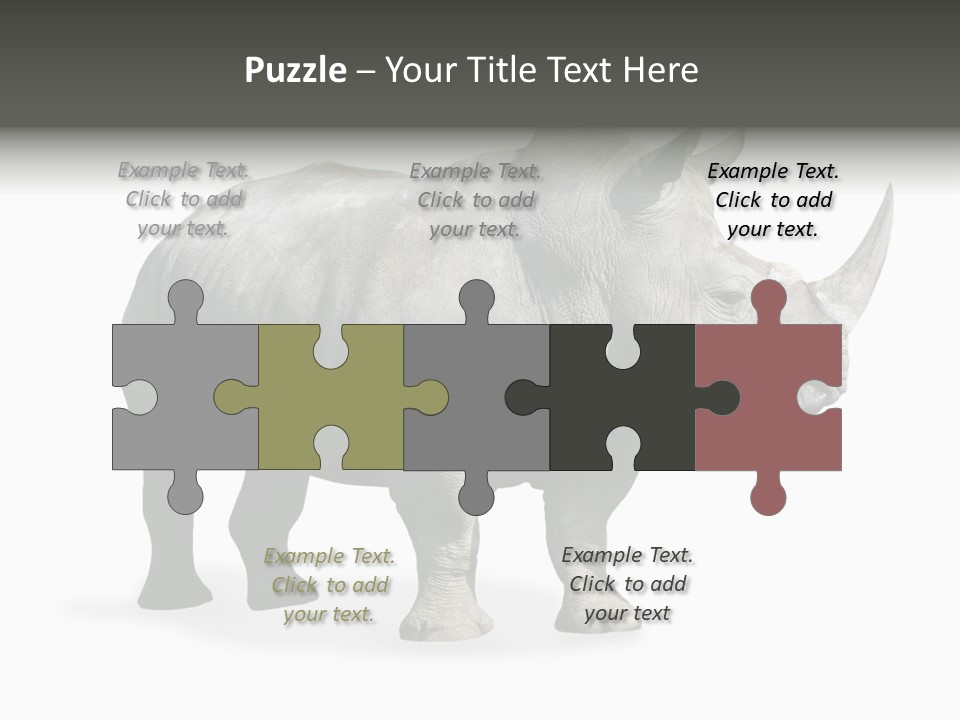 Rhinoceros Animal Danger PowerPoint Template