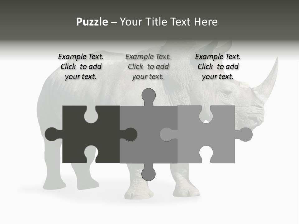 Rhinoceros Animal Danger PowerPoint Template