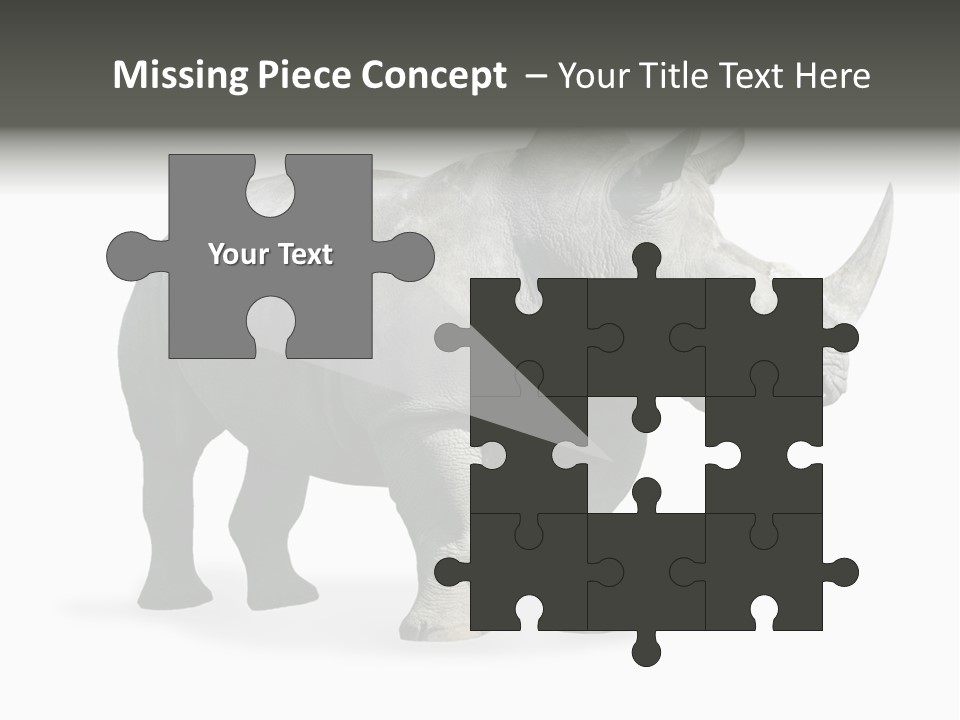 Rhinoceros Animal Danger PowerPoint Template