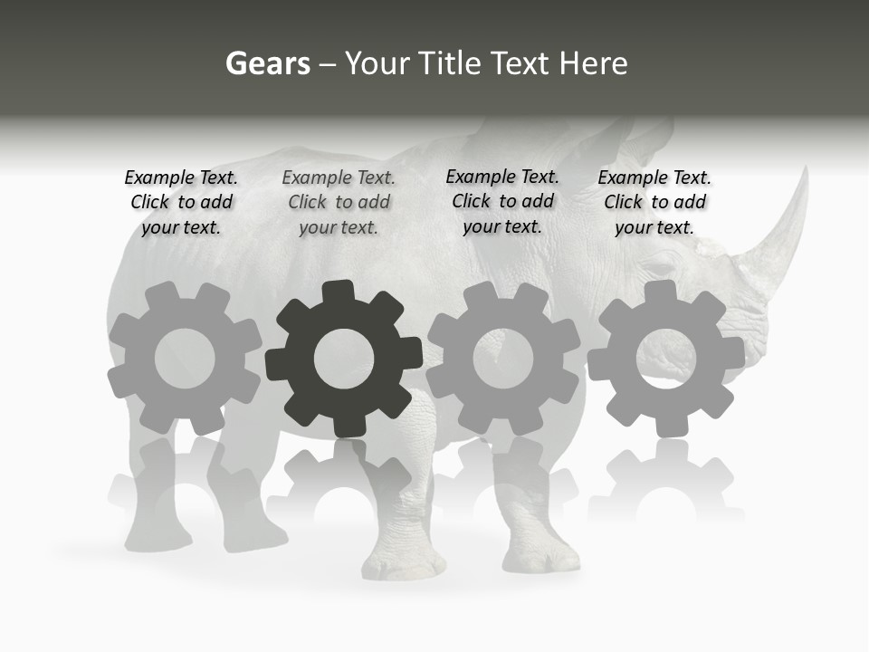 Rhinoceros Animal Danger PowerPoint Template