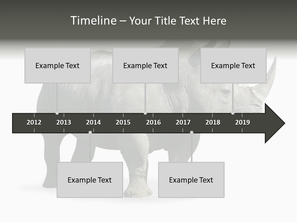 Rhinoceros Animal Danger PowerPoint Template
