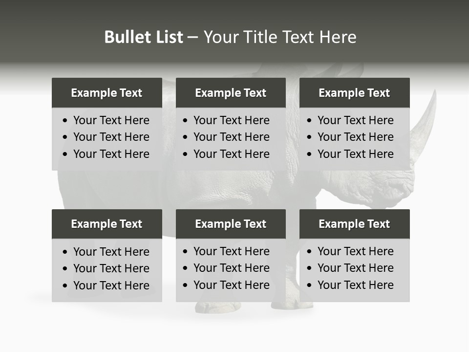 Rhinoceros Animal Danger PowerPoint Template