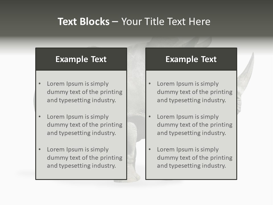 Rhinoceros Animal Danger PowerPoint Template