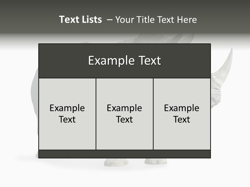 Rhinoceros Animal Danger PowerPoint Template