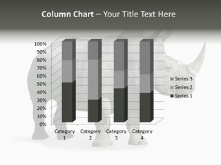 Rhinoceros Animal Danger PowerPoint Template