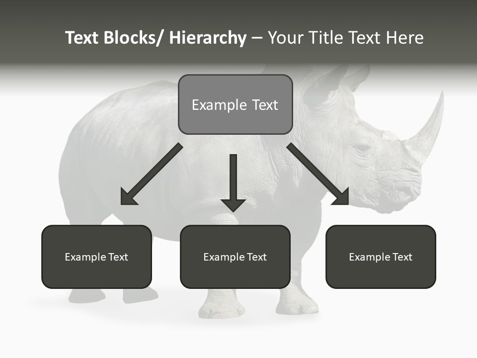 Rhinoceros Animal Danger PowerPoint Template
