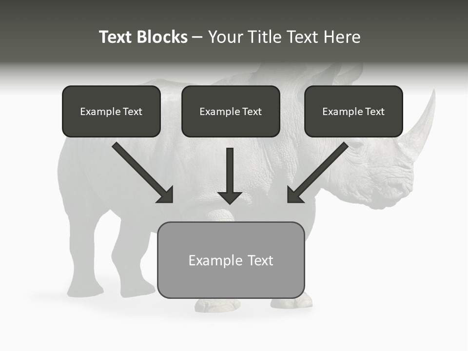 Rhinoceros Animal Danger PowerPoint Template