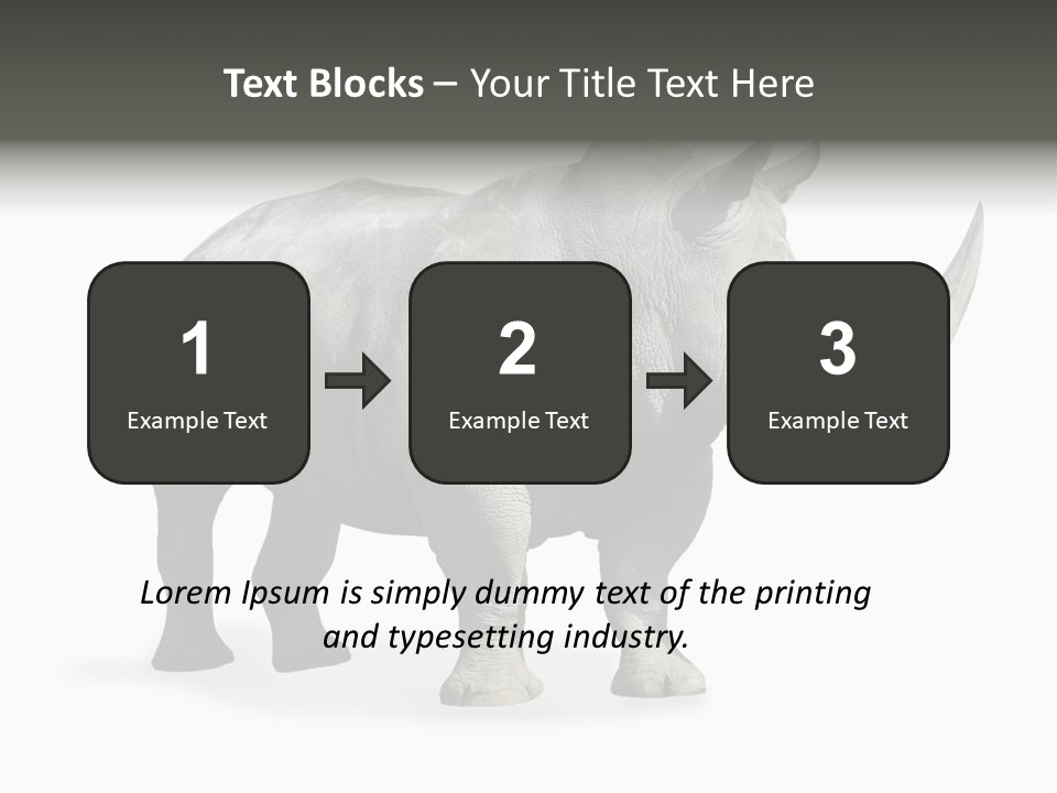 Rhinoceros Animal Danger PowerPoint Template