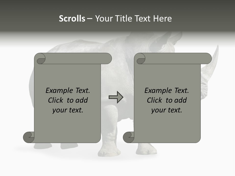 Rhinoceros Animal Danger PowerPoint Template