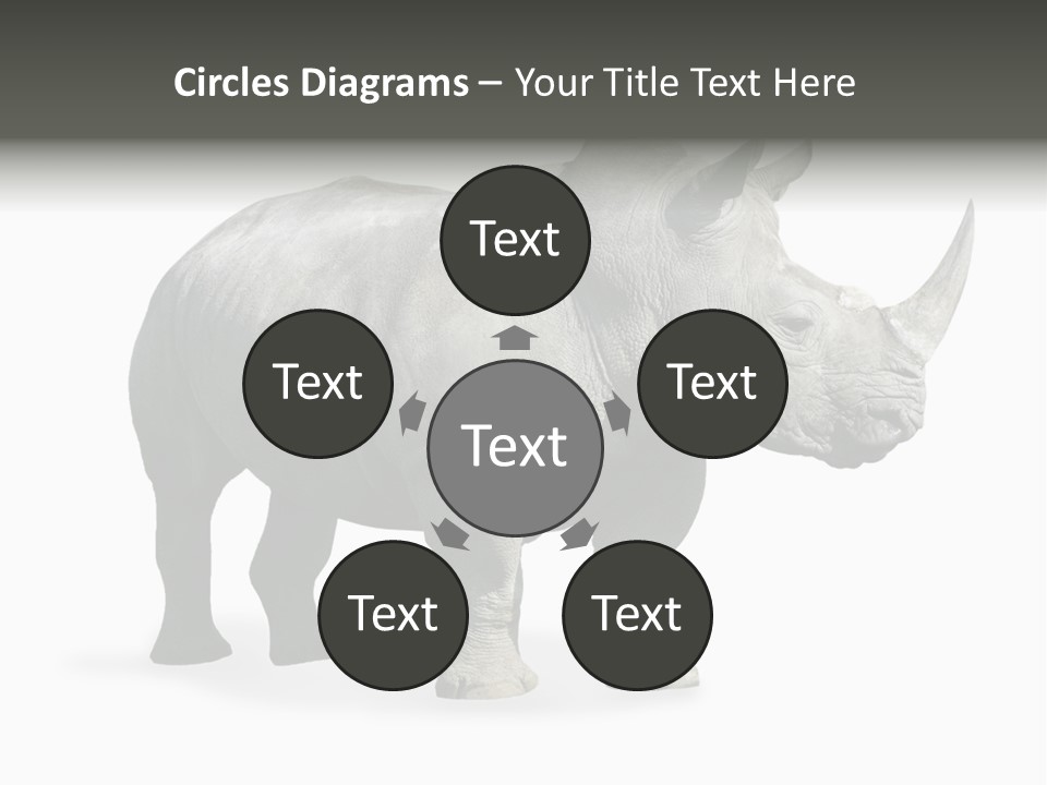 Rhinoceros Animal Danger PowerPoint Template