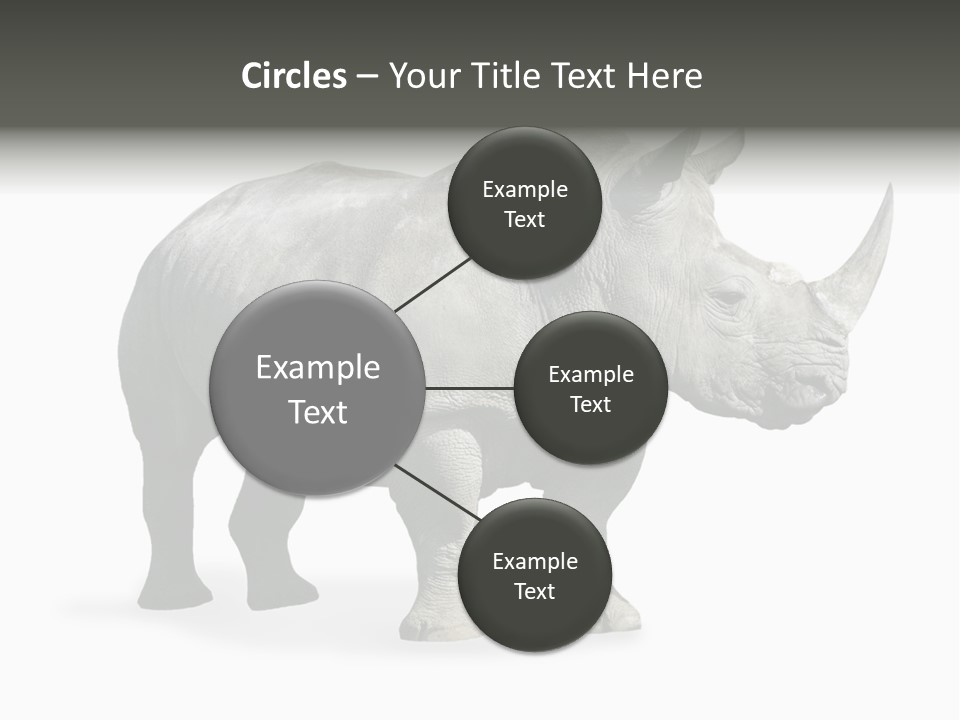 Rhinoceros Animal Danger PowerPoint Template