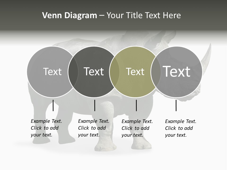 Rhinoceros Animal Danger PowerPoint Template