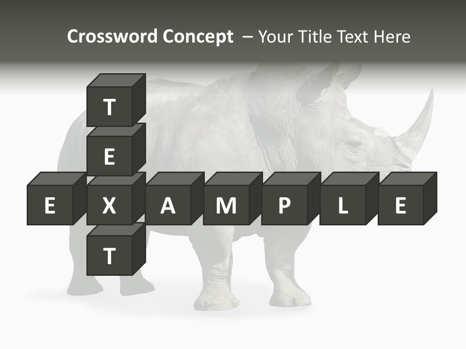 Rhinoceros Animal Danger PowerPoint Template