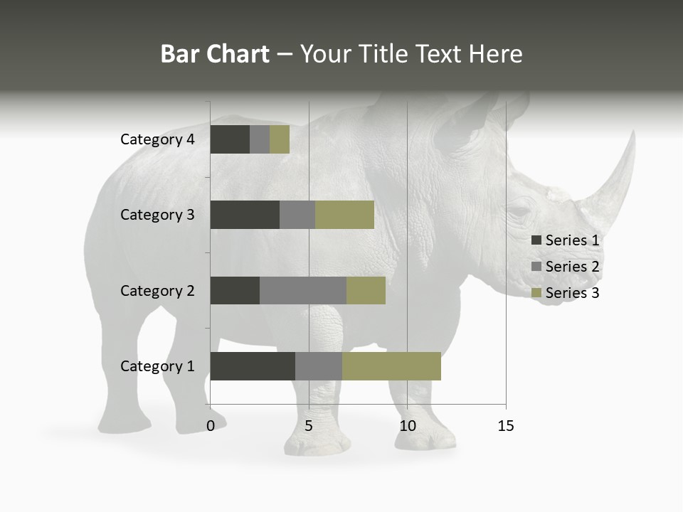 Rhinoceros Animal Danger PowerPoint Template