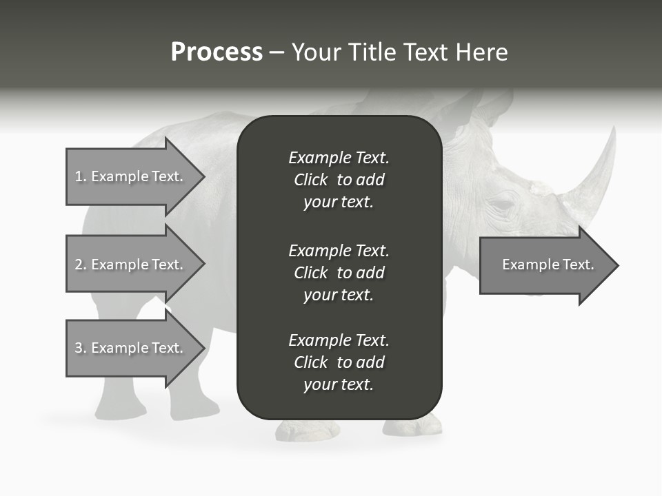 Rhinoceros Animal Danger PowerPoint Template