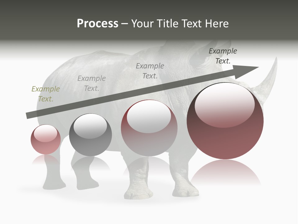 Rhinoceros Animal Danger PowerPoint Template