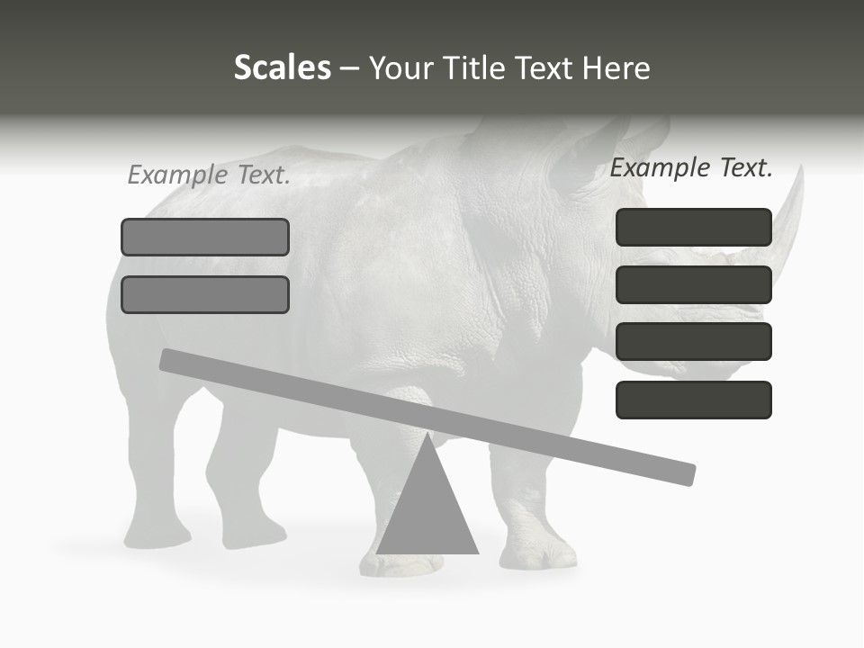 Rhinoceros Animal Danger PowerPoint Template