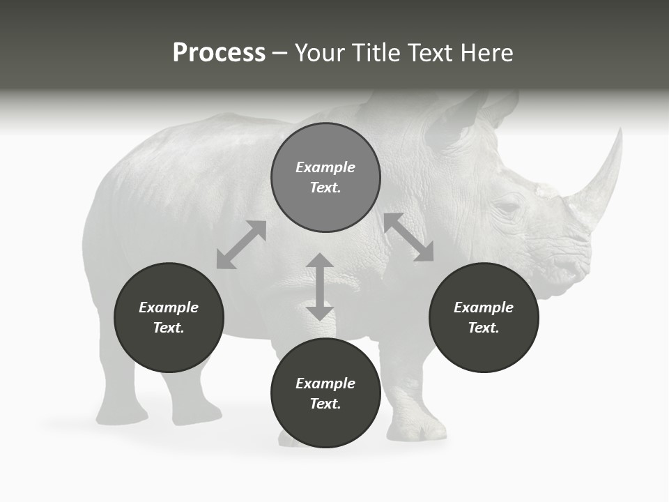 Rhinoceros Animal Danger PowerPoint Template