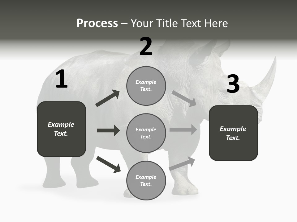 Rhinoceros Animal Danger PowerPoint Template