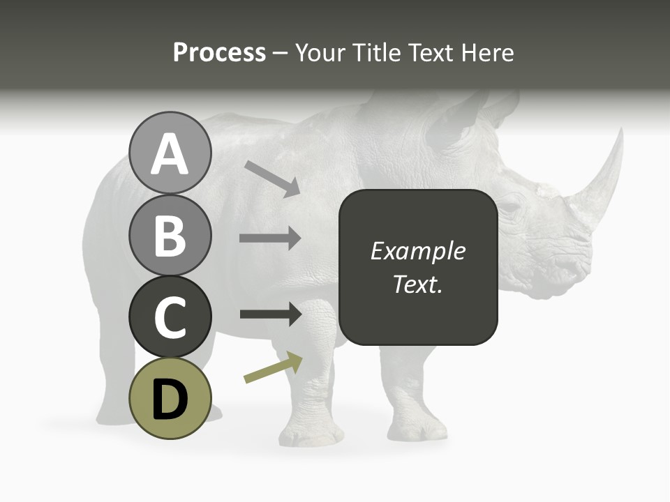 Rhinoceros Animal Danger PowerPoint Template