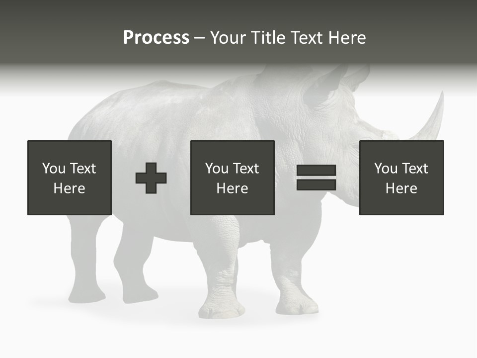 Rhinoceros Animal Danger PowerPoint Template
