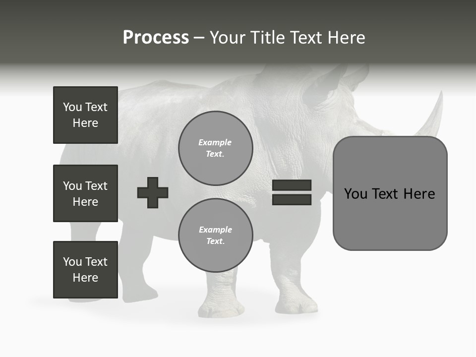 Rhinoceros Animal Danger PowerPoint Template