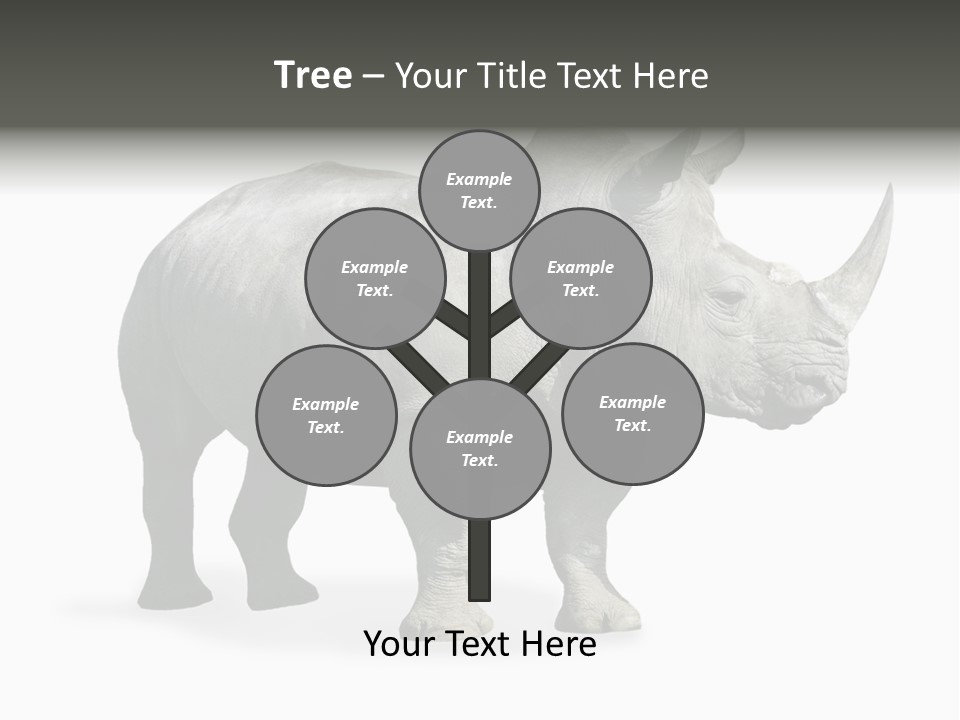 Rhinoceros Animal Danger PowerPoint Template