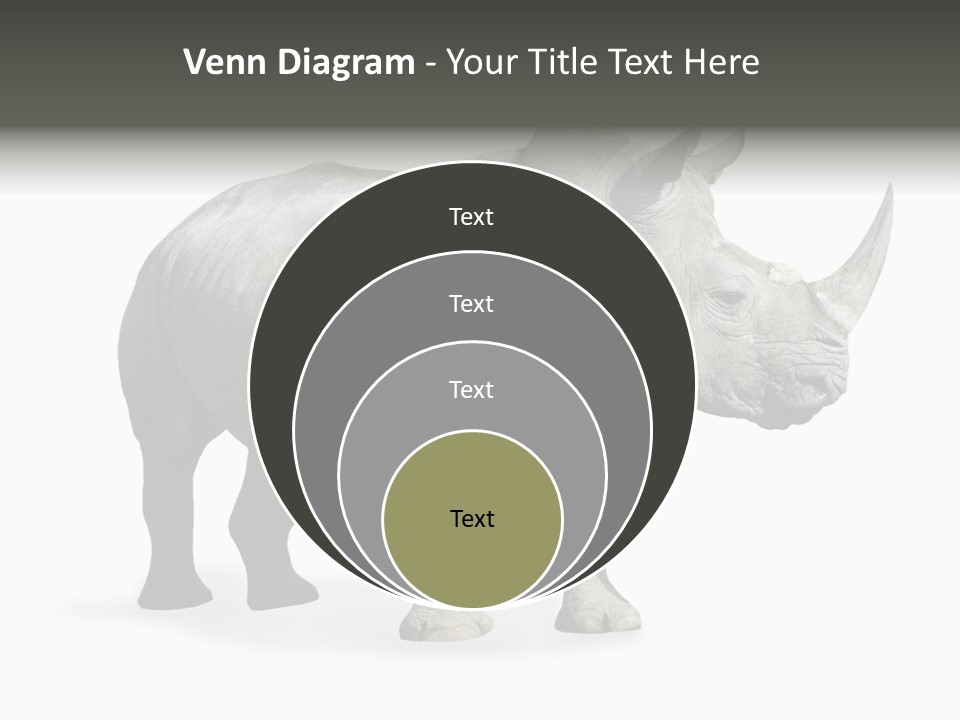 Rhinoceros Animal Danger PowerPoint Template